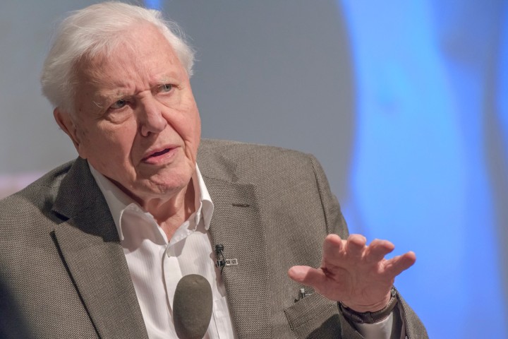 Sir David Attenborough says fixed-term parliaments lead to lack of climate focus